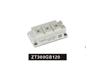 ZD300GA120（1）