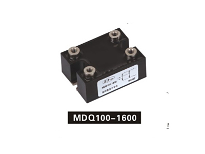 MDQ100-1600 (2)